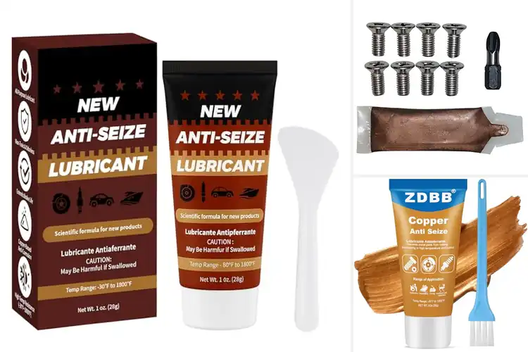 Detailed view of Best Anti Seize Brake Screws