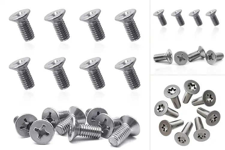 Detailed view of Best Brake Rotor Retaining Screws