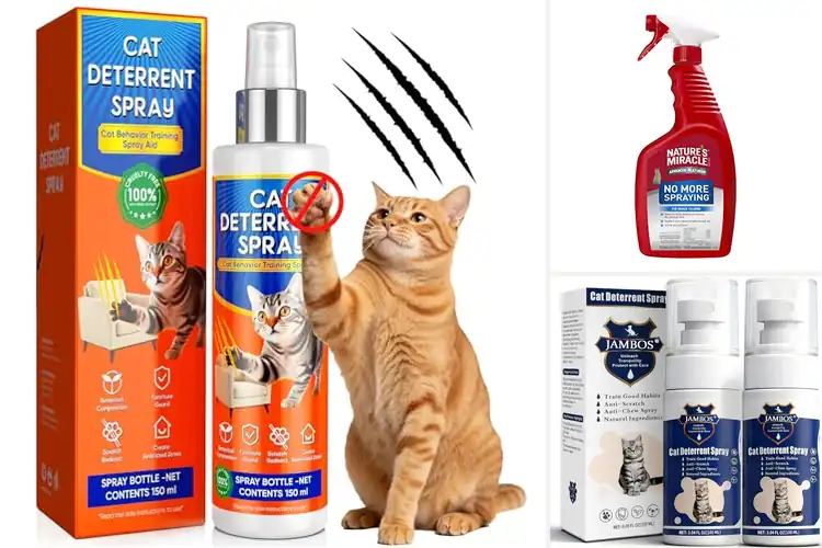 Detailed view of Best Cat Deterrent Sprays
