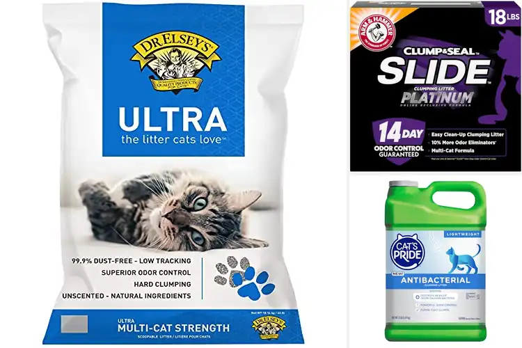 Detailed view of Best Clumping Litters: 10 Top Picks for a Fresh, Clean Home