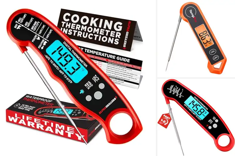 Detailed view of Best Digital Meat Thermometers