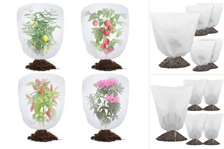 Detailed view of Best Drawstring Plant Covers
