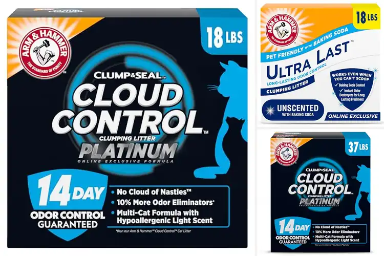 Detailed view of Best Dust-Free Litters: Top 10 Picks for Smell-Free Homes