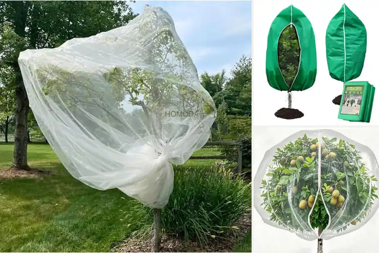 Detailed view of Best Extra Large Tree Covers