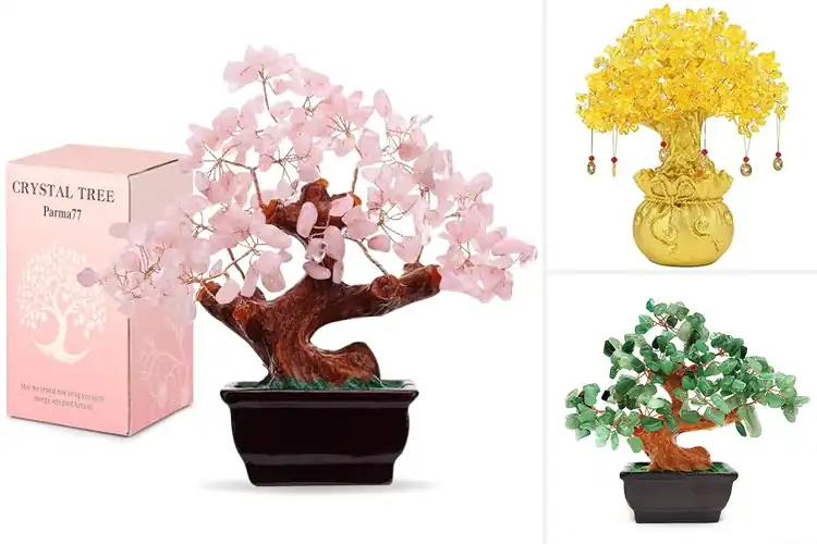 Detailed view of Best Feng Shui Trees