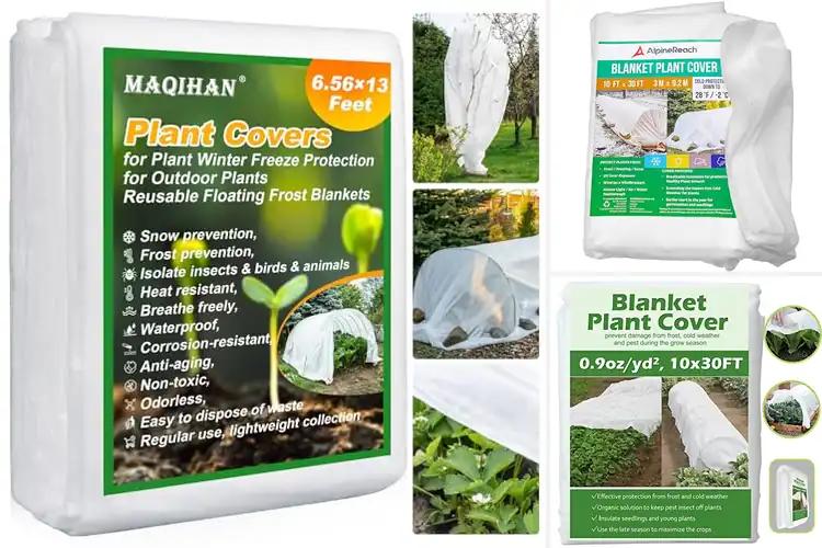 Detailed view of Best Freeze Blankets For Outdoor Plants