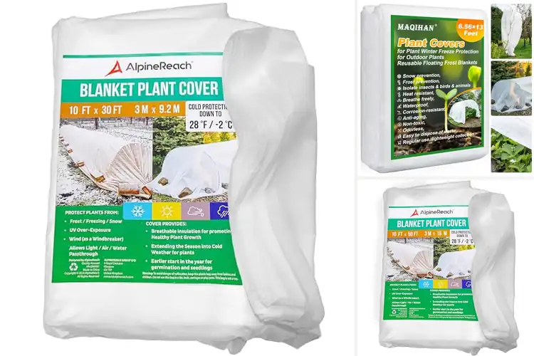 Detailed view of Best Frost Blankets For Plants: Protect Your Garden Fast