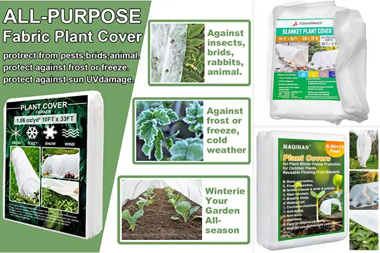 Detailed view of Best Frost Protection Covers for Healthy Winter Plants