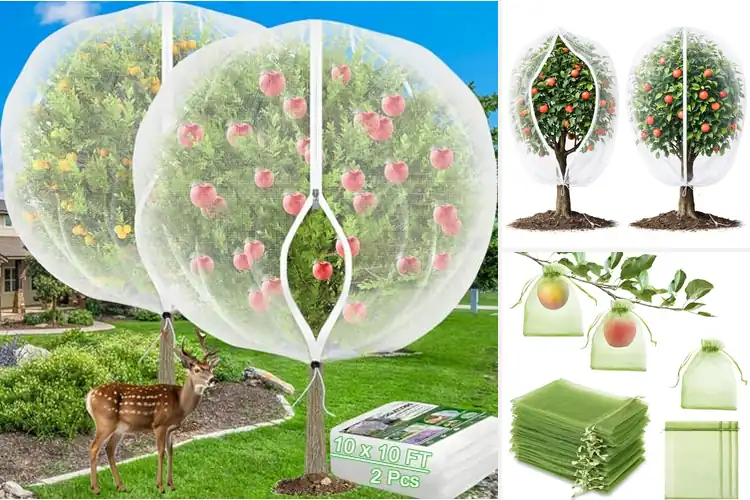 Detailed view of Best Fruit Tree Covers: Top 10 Picks for a Pest-Free Harvest