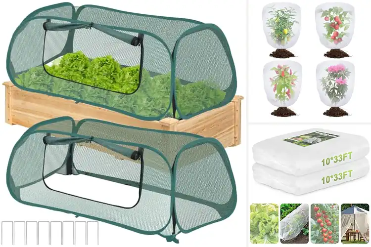 Detailed view of Best Garden Covers: Top Picks to Shield Your Plants