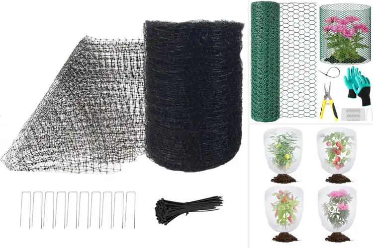 Detailed view of Best Garden Protection