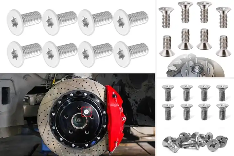 Detailed view of Best Gift For Car Enthusiasts Rotor Screws