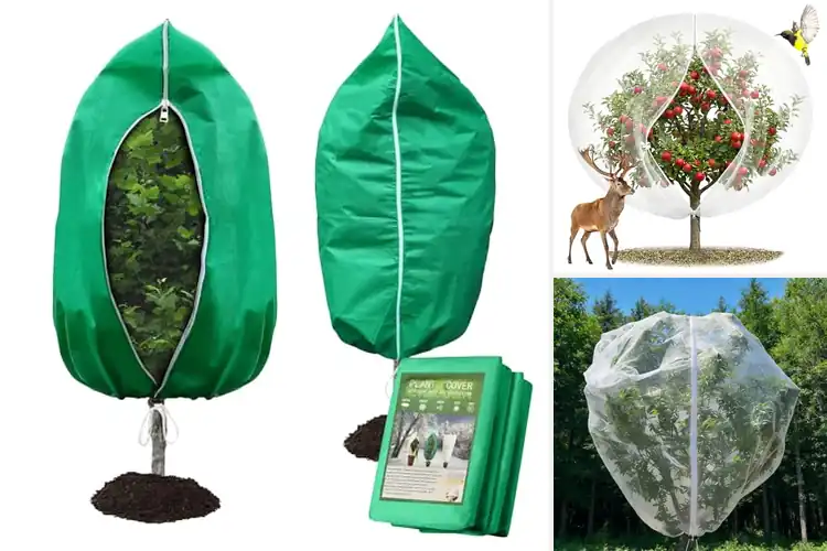 Detailed view of Best Heavy-Duty Tree Covers
