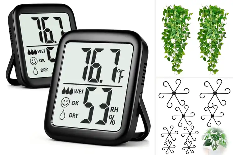 Detailed view of Best Indoor Accessories