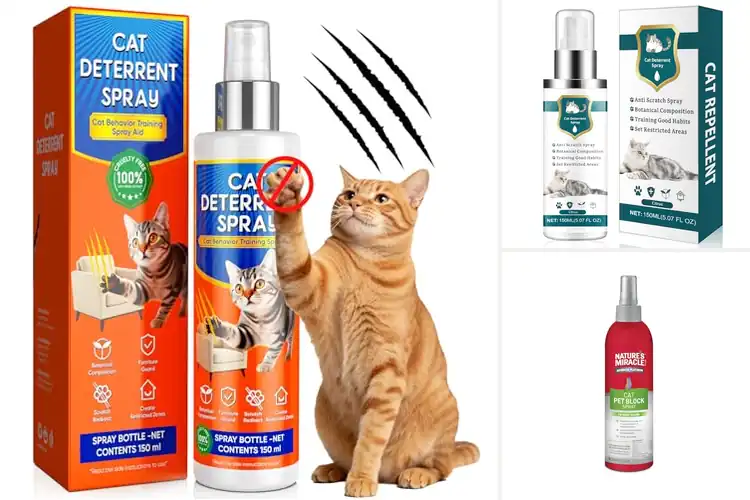 Detailed view of Best Indoor Cat Repellents