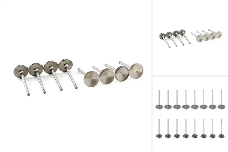 Detailed view of Best Intake Valves For Small Block Chevy