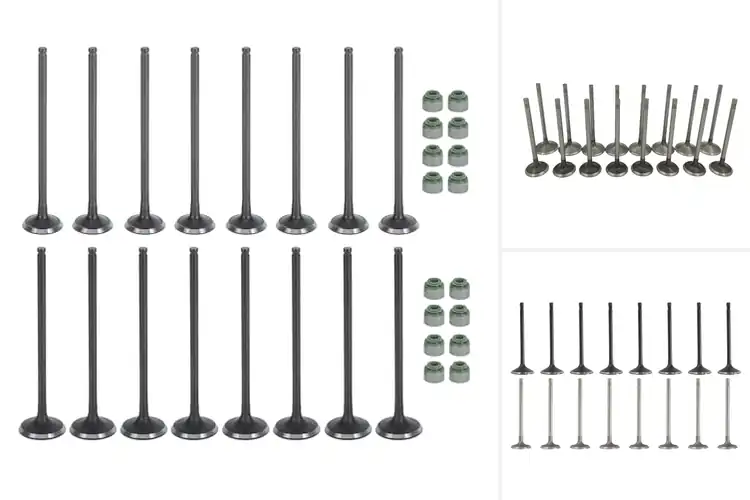 Detailed view of Best Intake Valves