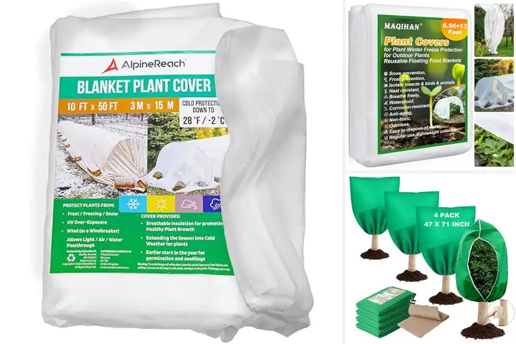Detailed view of Best Large Frost Blankets for Strong Plant Protection