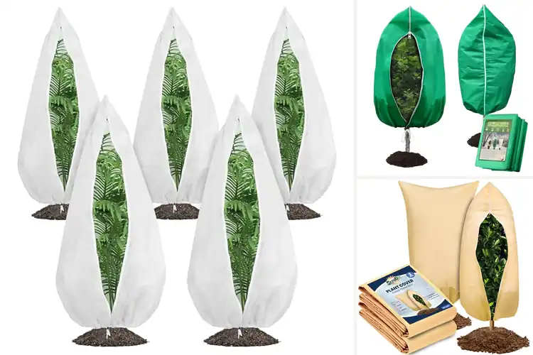 Detailed view of Best Large Plant Covers For Trees