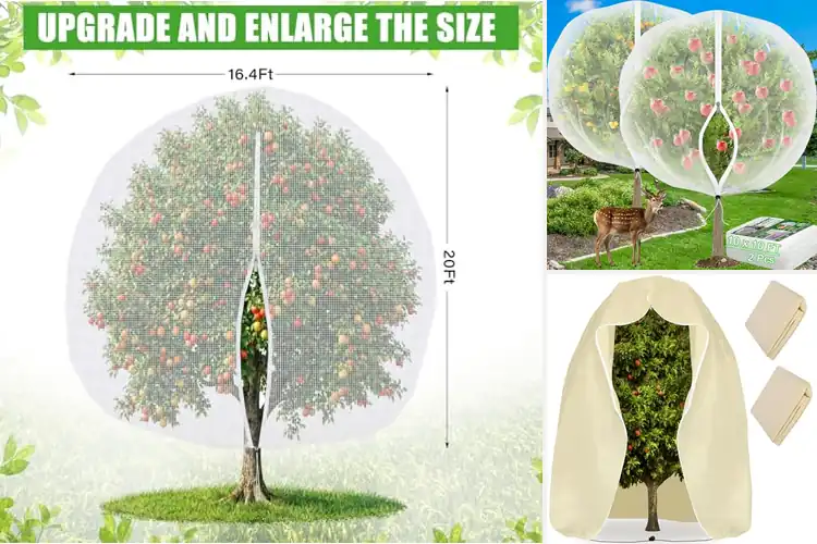 Detailed view of Best Large Tree Covers