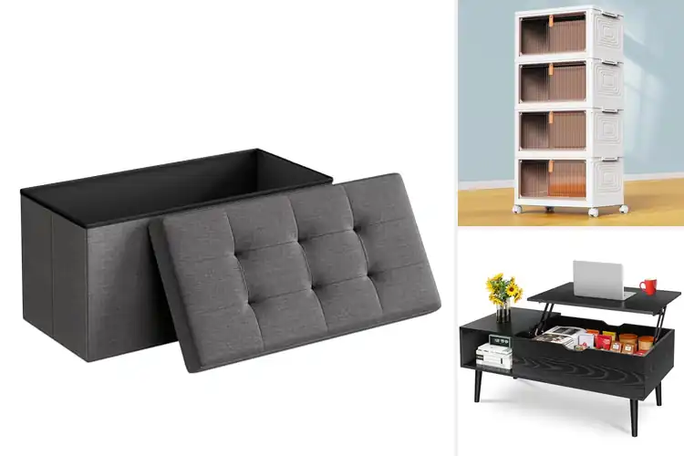 Detailed view of Best Living Room Storage Solutions