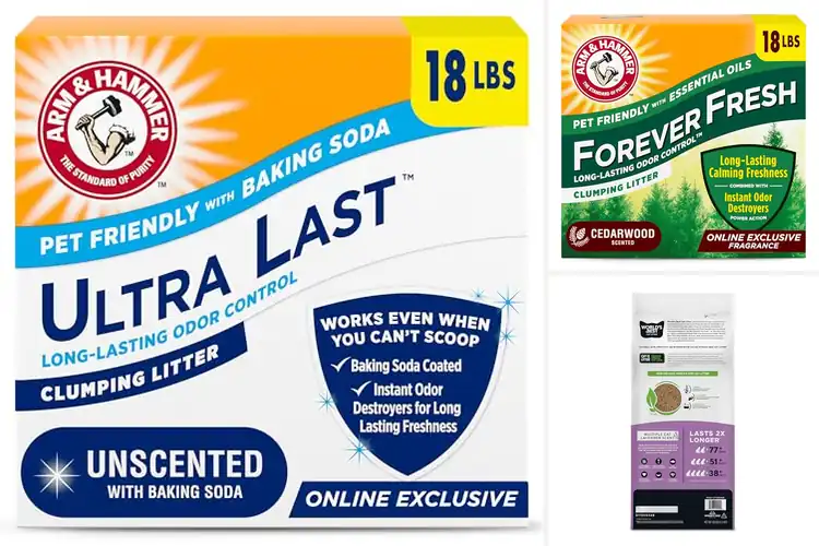 Detailed view of Best Long-Lasting Litters