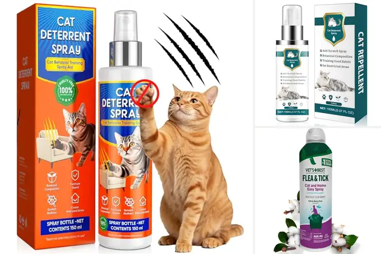 Detailed view of Best Natural Cat Sprays: Top 10 Picks for a Happy, Safe Home
