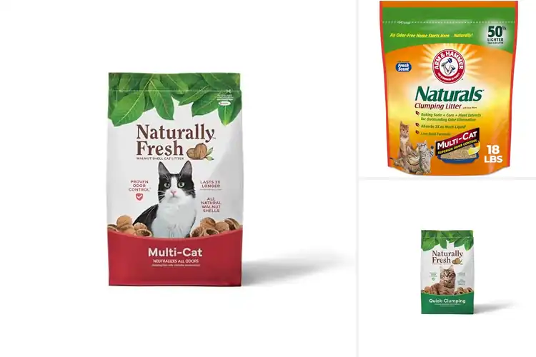 Detailed view of Best Natural Litters: Fresh, Safe Choices Your Cat Will Love