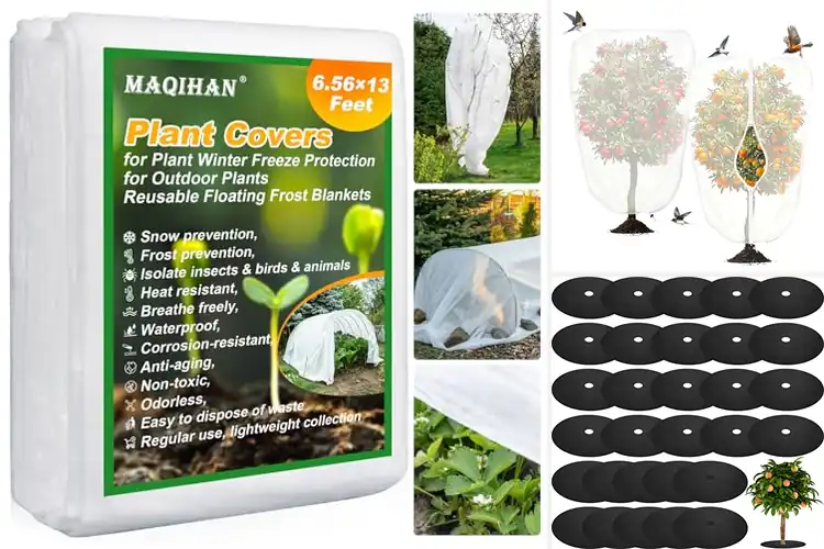 Detailed view of Best Non-Woven Plant Covers