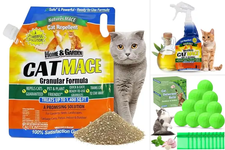 Detailed view of Best Outdoor Cat Repellents