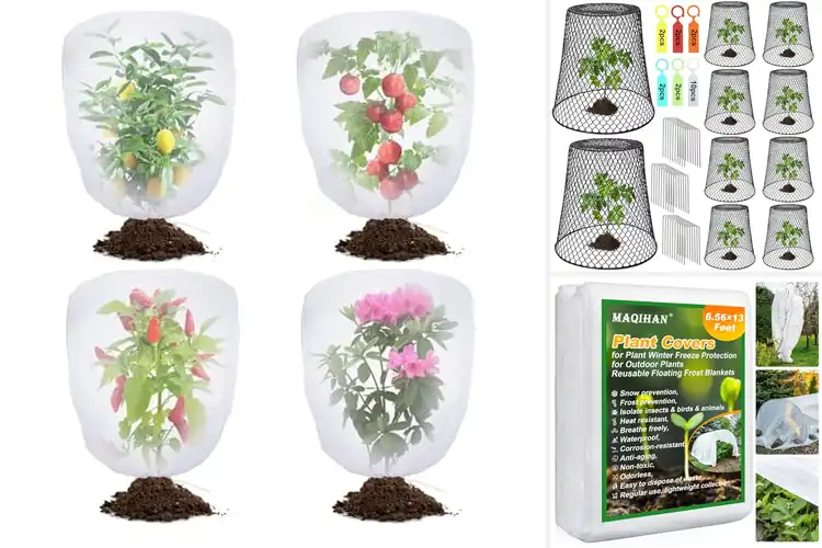 Detailed view of Best Outdoor Plant Covers: Top 10 Picks for Healthy Growth