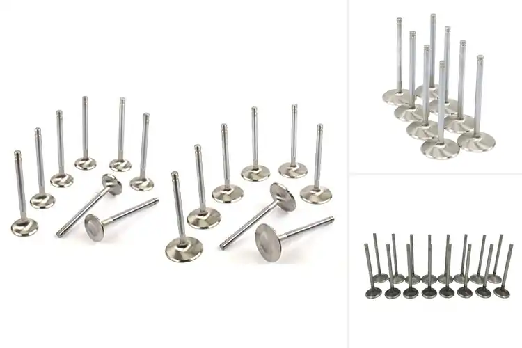 Detailed view of Best Performance Intake Valves