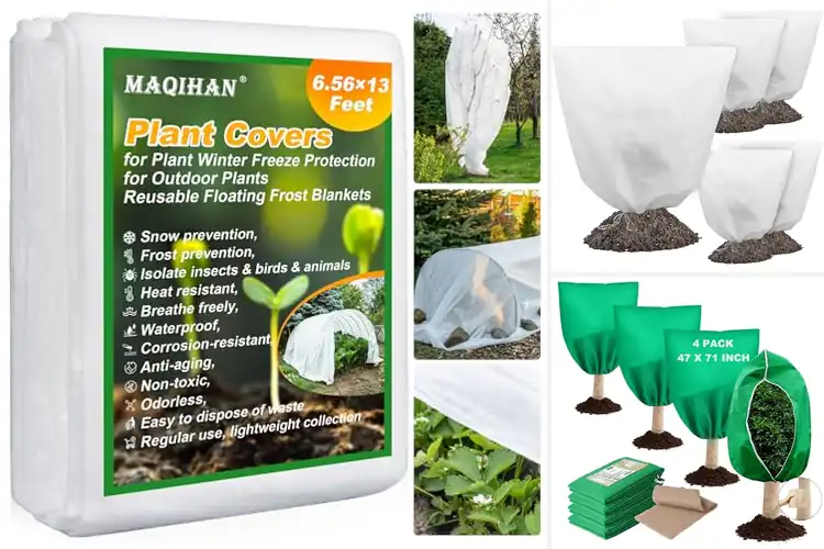 Detailed view of Best Plant Covers For Freeze Protection