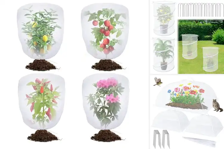 Detailed view of Best Plant Covers