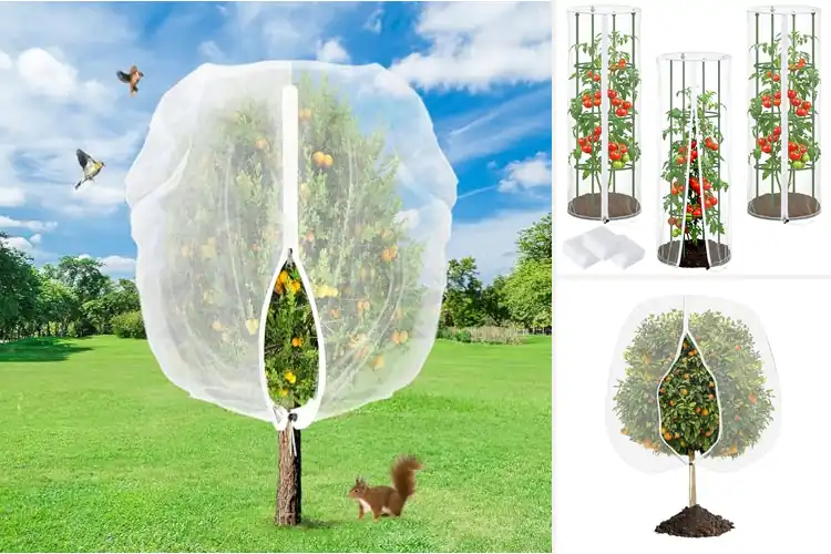 Detailed view of Best Plant Covers With Zipper Drawstring