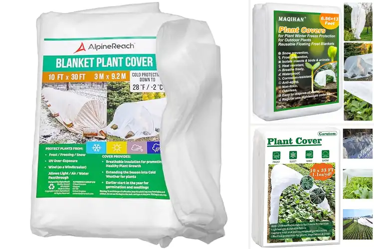 Detailed view of Best Plant Freeze Protections