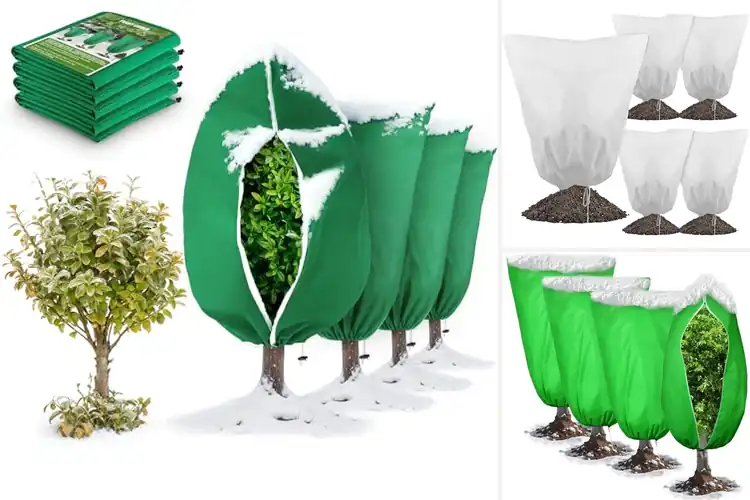 Detailed view of Best Reusable Winter Plant Covers
