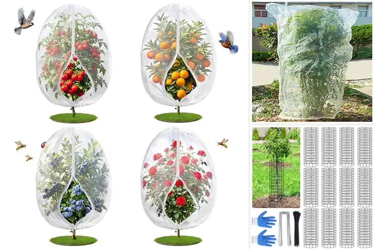 Detailed view of Best Sapling Covers: Protect Young Trees with Ease