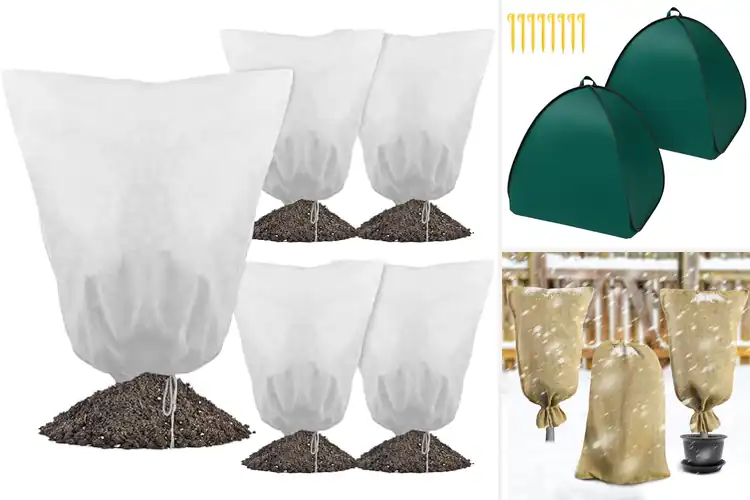 Detailed view of Best Shrub Covers For Harsh Winters