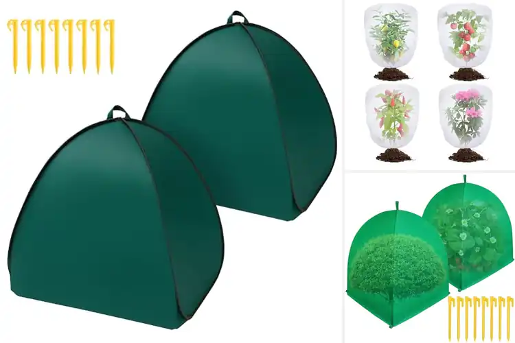 Detailed view of Best Shrub Covers: Simple Tips for Healthy, Protected Plants