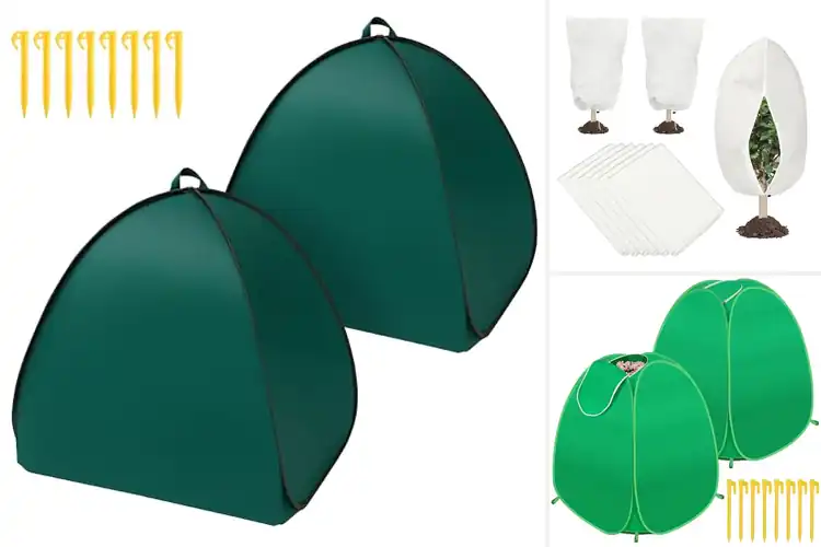 Detailed view of Best Shrub Frost Protectors: Easy Covers to Save Your Plants