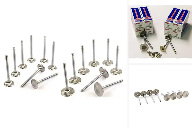 Detailed view of Best Small Block Chevy Intake Valves