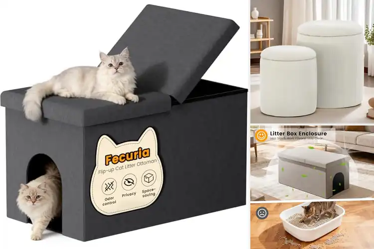 Detailed view of Best Space-Saving Ottomans