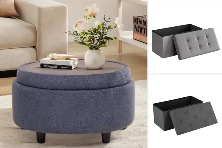 Detailed view of Best Space-Saving Storage Ottomans