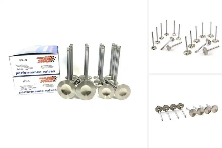 Detailed view of Best Stainless Steel Intake Valves