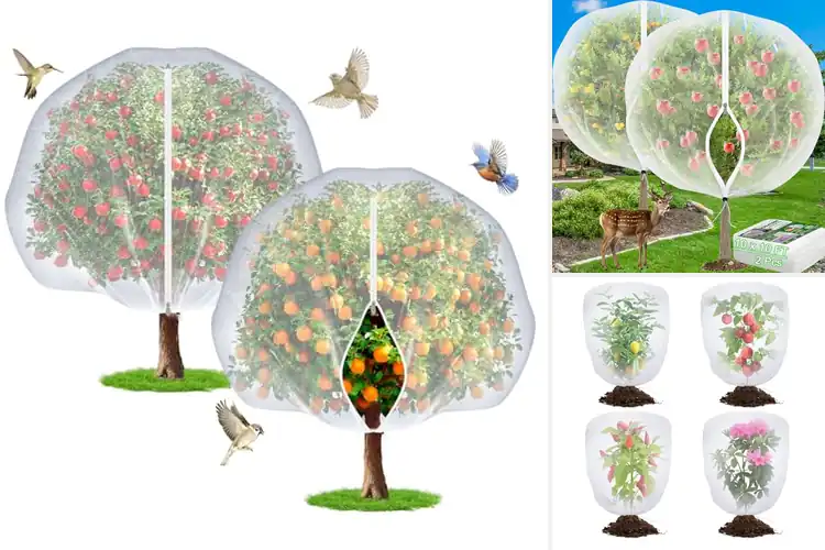 Detailed view of Best Tree Covers