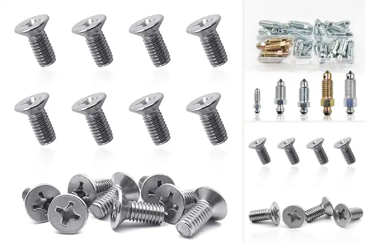 Detailed view of Best Universal Brake Screws