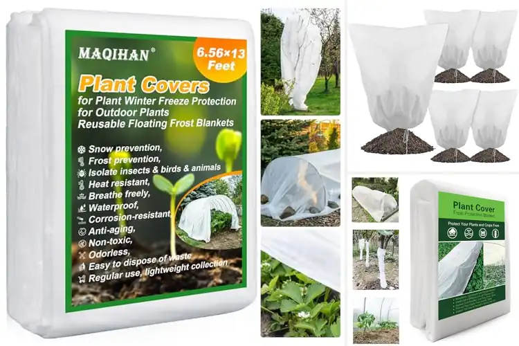 Detailed view of Best Winter Plant Cloths