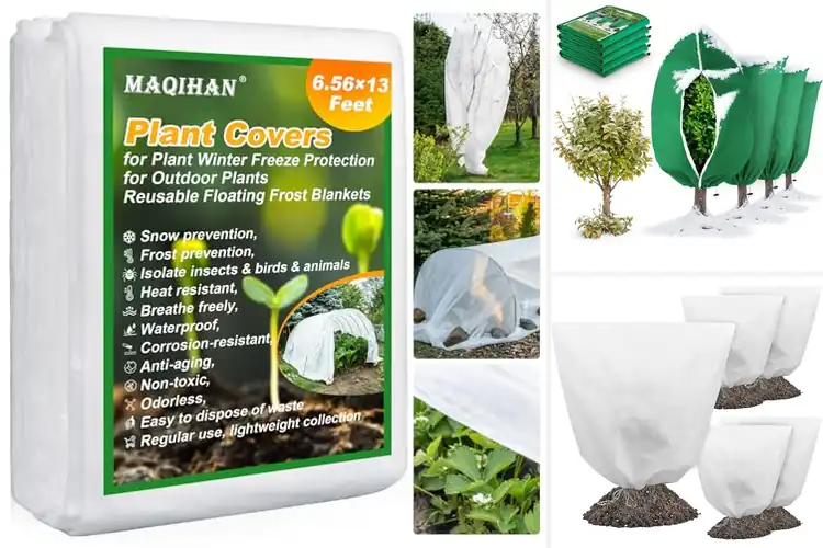 Detailed view of Best Winter Plant Covers for Strong, Frost‑Proof Growth