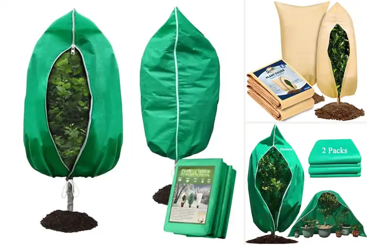 Detailed view of Best Winter Tree Covers: Top Picks for Strong Protection